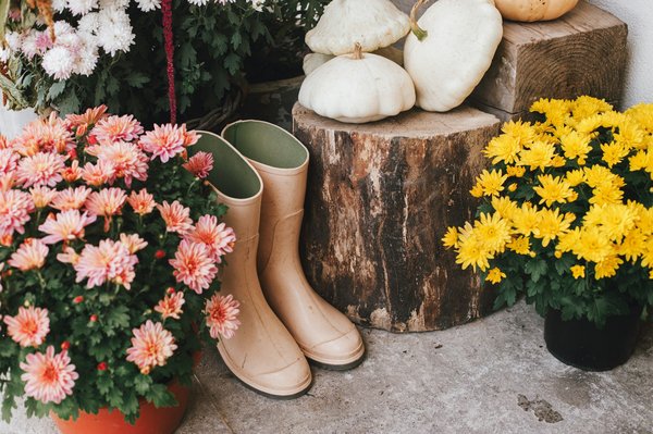 Idées, inspirations et tendances décoration de la maison en 2024 : mode et style à adopter